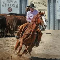 Beschreibung des Bildes