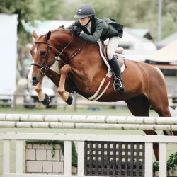 Beschreibung des Bildes