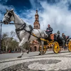 Beschreibung des Bildes