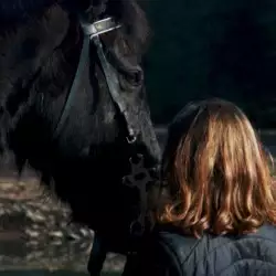 Beschreibung des Bildes