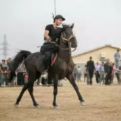 Beschreibung des Bildes