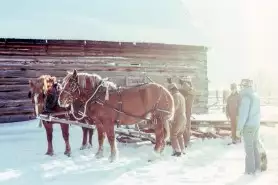 Reiterferien-Thueringen