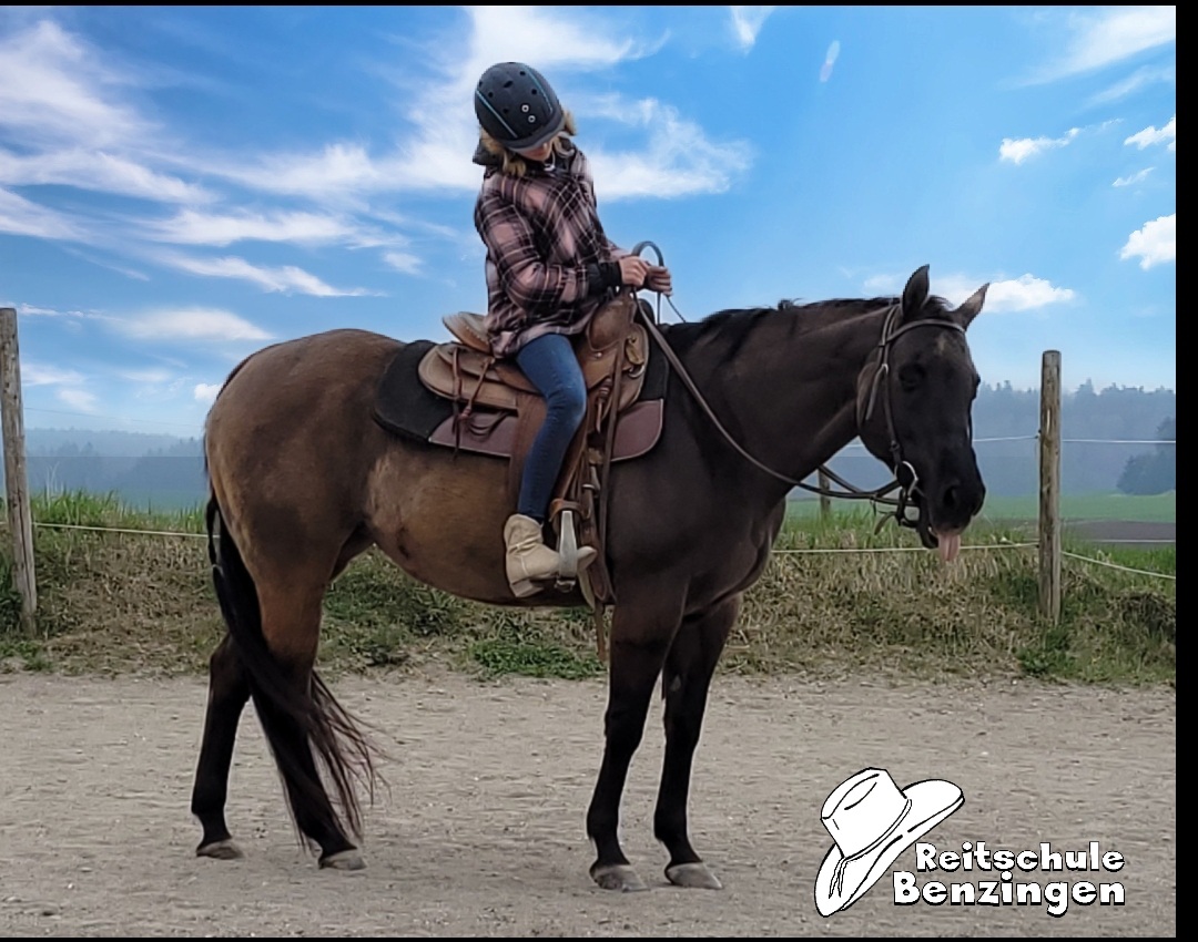 Ferien mit Pferden auf der schwäbischen Alb andere Hofbewohner 