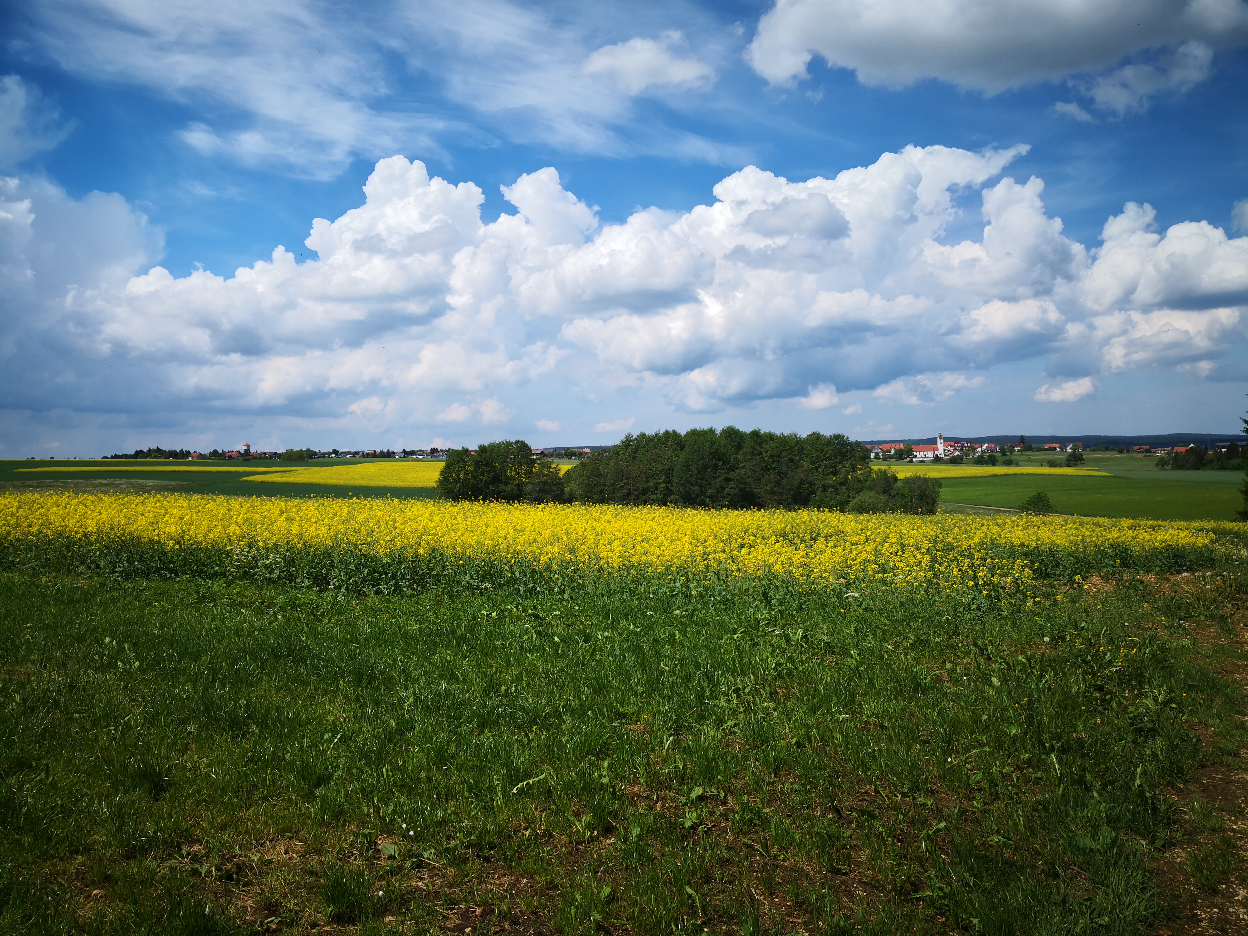 Reiterferien - Reiterferien für: Kinder - Deutschland - Unsere Gegend - Ferien mit Pferden auf der schwäbischen Alb