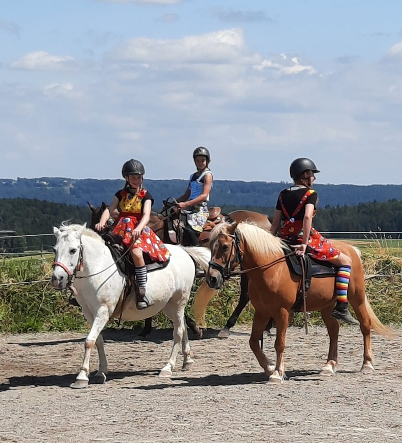 Reitschule Benzingen - Ferien mit Pferden Unsere Pferde 