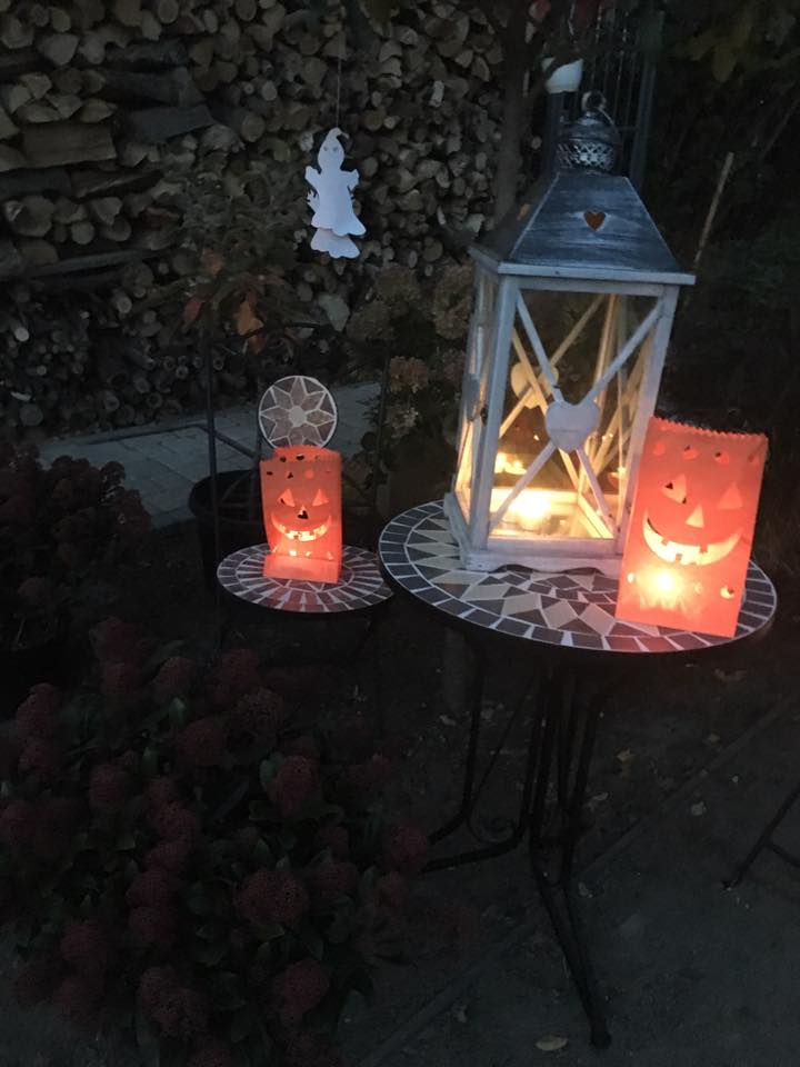 Reiterferien: Sommerferien 2025 An der Bosel