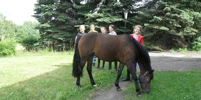 Reiterferien - Paddock - Sommerferien 2025 An der Bosel