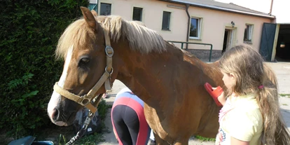 Reiterferien - Paddock - Sommerferien 2025 An der Bosel