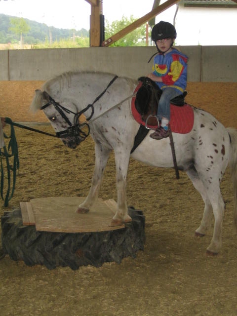 Reiterferien: Zirkuslektionen - Reiterferien im Hinterland vom Bodensee