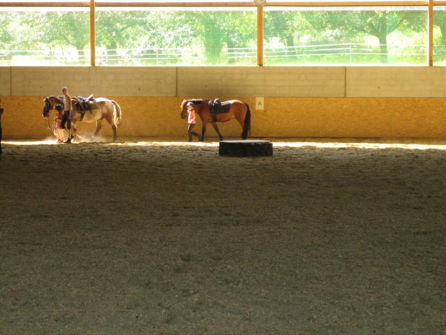 Reiterferien - Deutschland - Reitunterricht für die Kleine - Reiterferien im Hinterland vom Bodensee