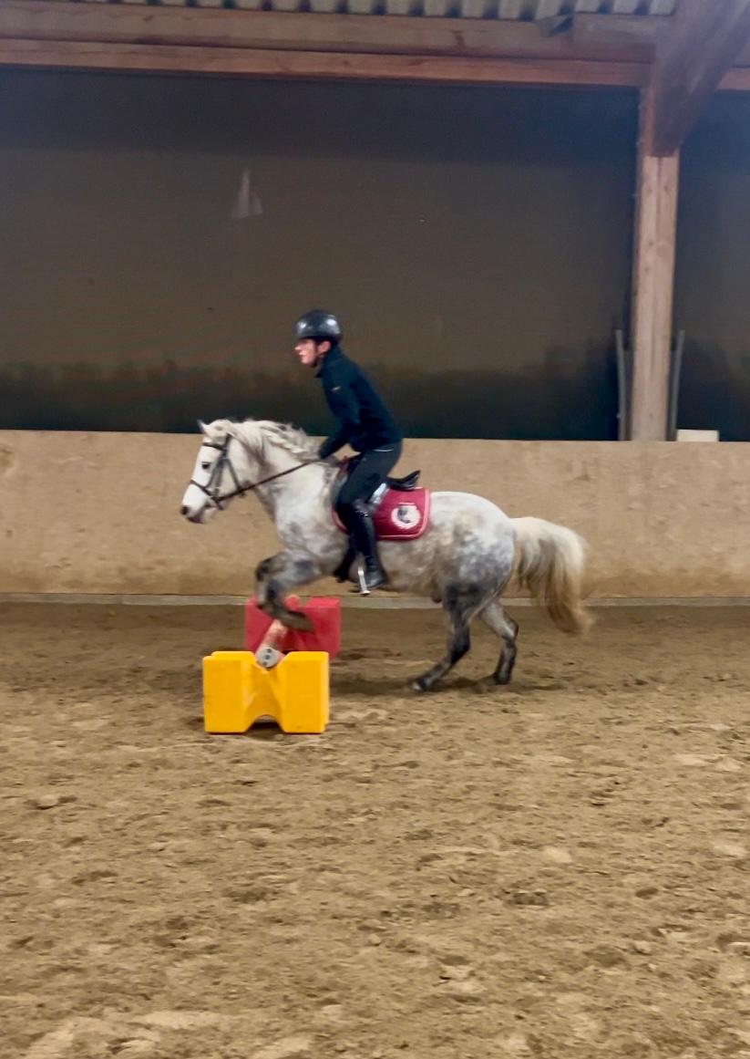 Reiterferien - Deutschland - Auch unser Kleinster springt.... - Reiterferien im Hinterland vom Bodensee
