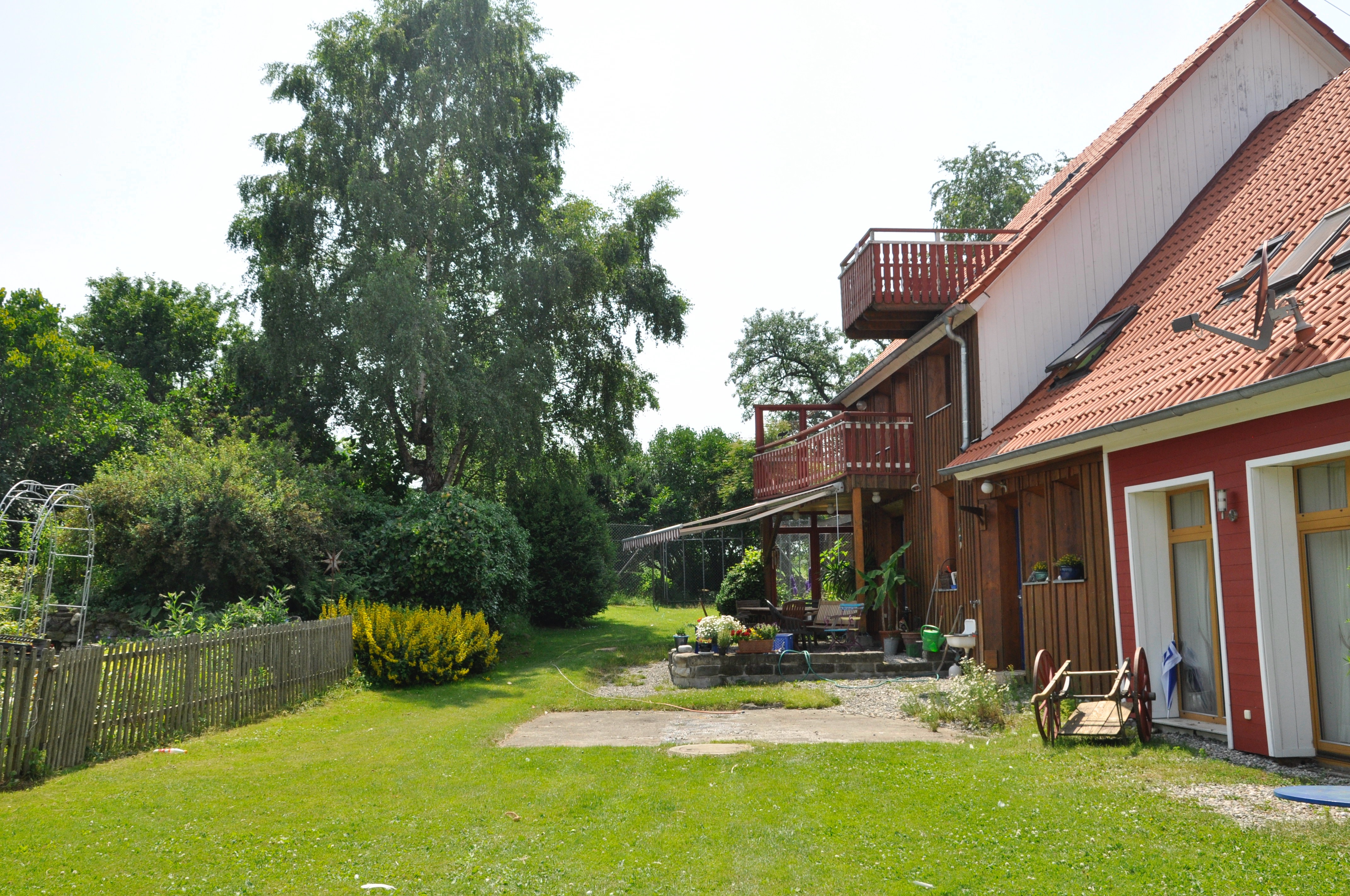 Reiterferien - Longierunterricht - Deutschland - Reitferien mit Englischunterricht